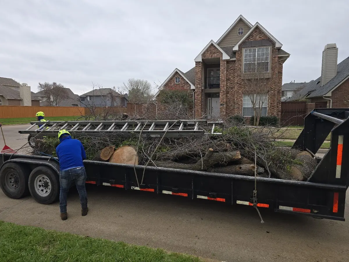 Expert Tree Removal with proper safety equipment in Paxico